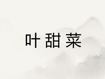 叶甜菜