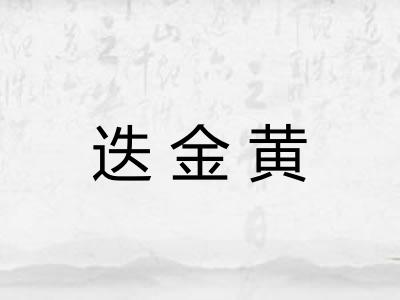 迭金黄