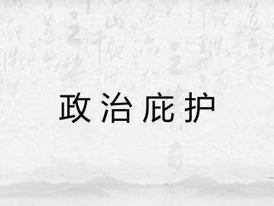 政治庇护