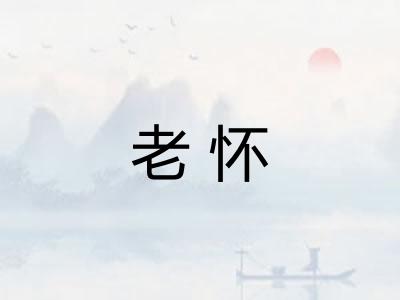 老怀