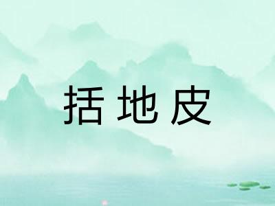 括地皮