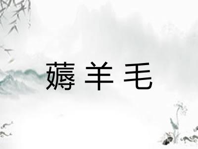 薅羊毛