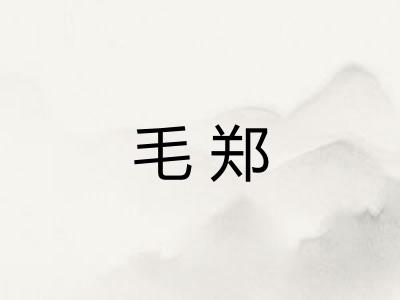 毛郑