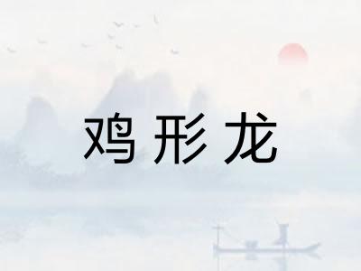 鸡形龙