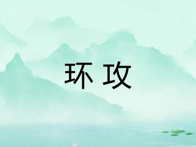 环攻