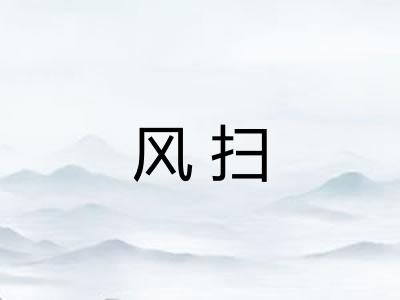 风扫
