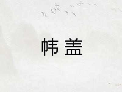 帏盖