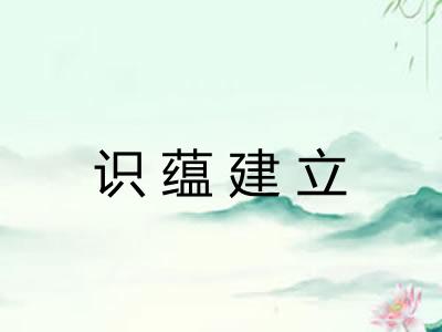 识蕴建立
