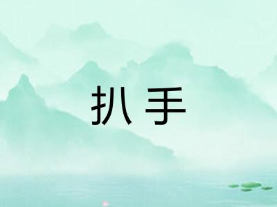 扒手