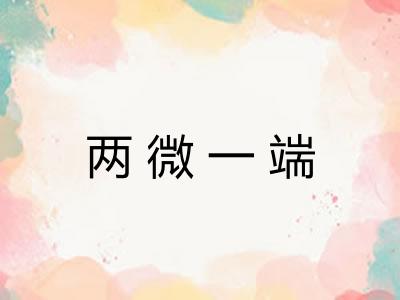 两微一端