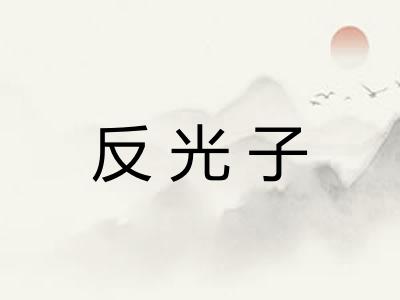 反光子