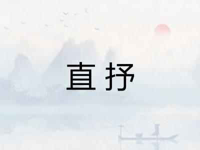 直抒