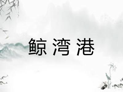 鲸湾港