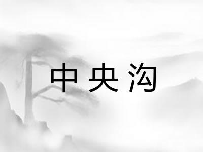 中央沟