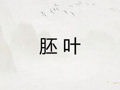 胚叶