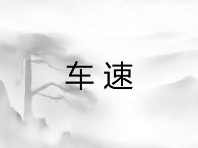 车速