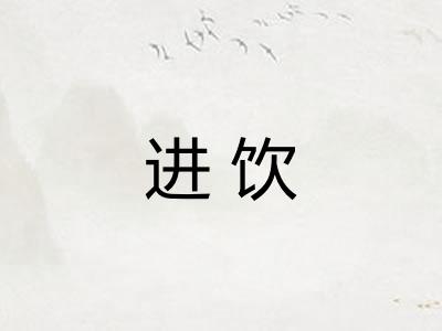 进饮
