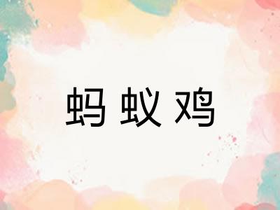 蚂蚁鸡