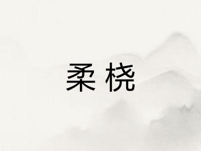 柔桡