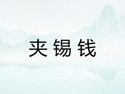 夹锡钱