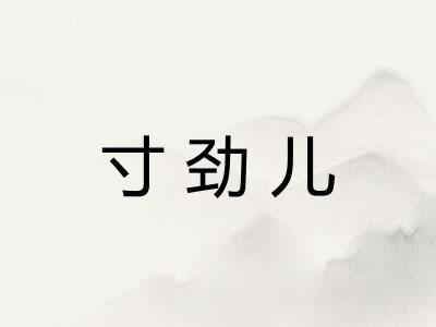 寸劲儿