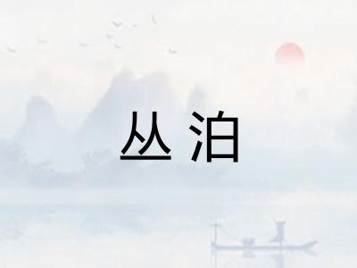 丛泊