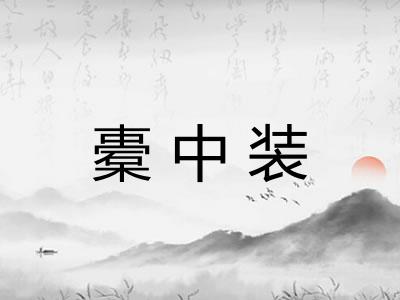 橐中装