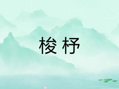 梭杼