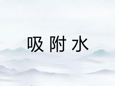 吸附水