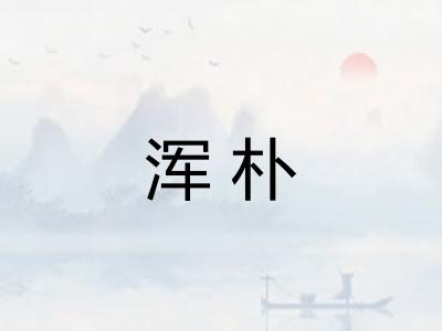 浑朴