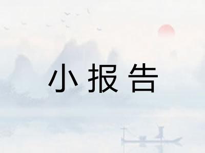 小报告