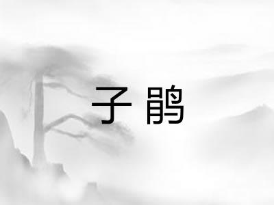 子鹃