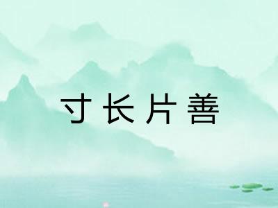 寸长片善