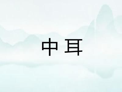 中耳