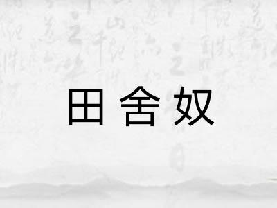田舍奴