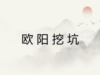 欧阳挖坑