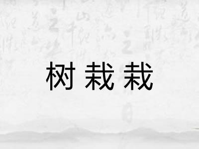 树栽栽