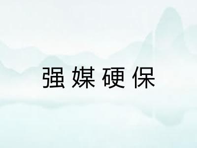 强媒硬保