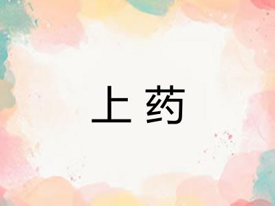 上药