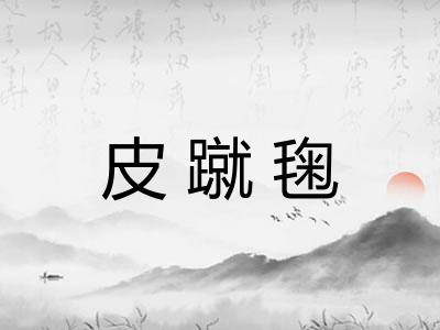 皮蹴毱