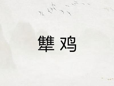 犨鸡