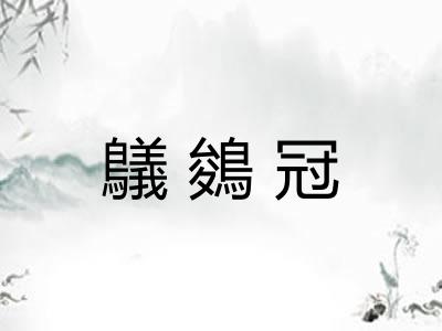 鸃鵕冠