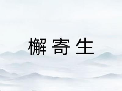 檞寄生