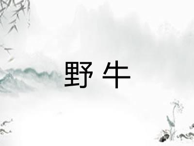 野牛