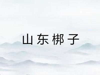 山东梆子