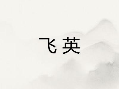 飞英