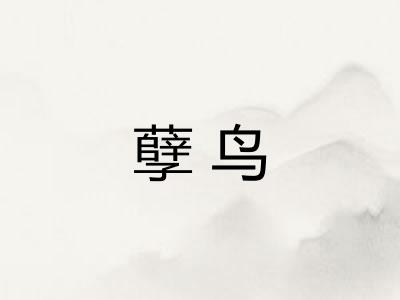 孽鸟