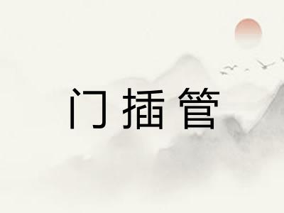 门插管