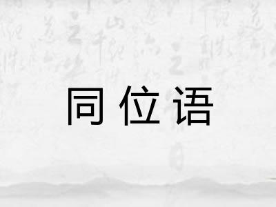 同位语