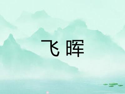 飞晖